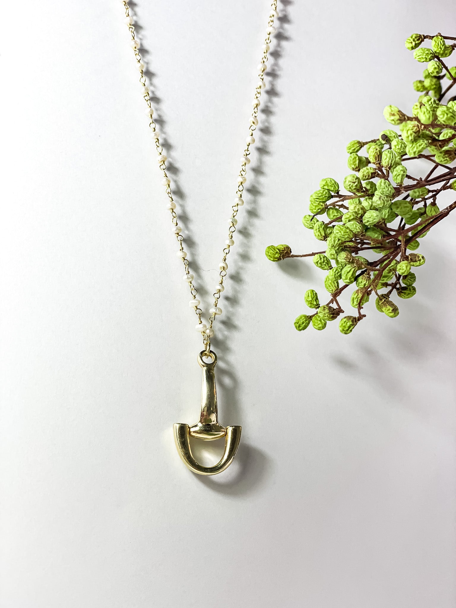 Silver horse bit pendant necklace with turmaline stones on a white background next to green foliage. Sophisticated silver jewelry piece.